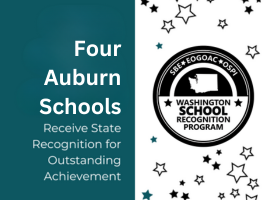  State Recognizes Four Auburn Schools for Outstanding Achievement